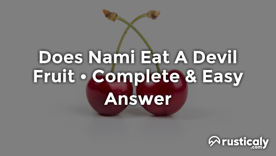 does nami eat a devil fruit