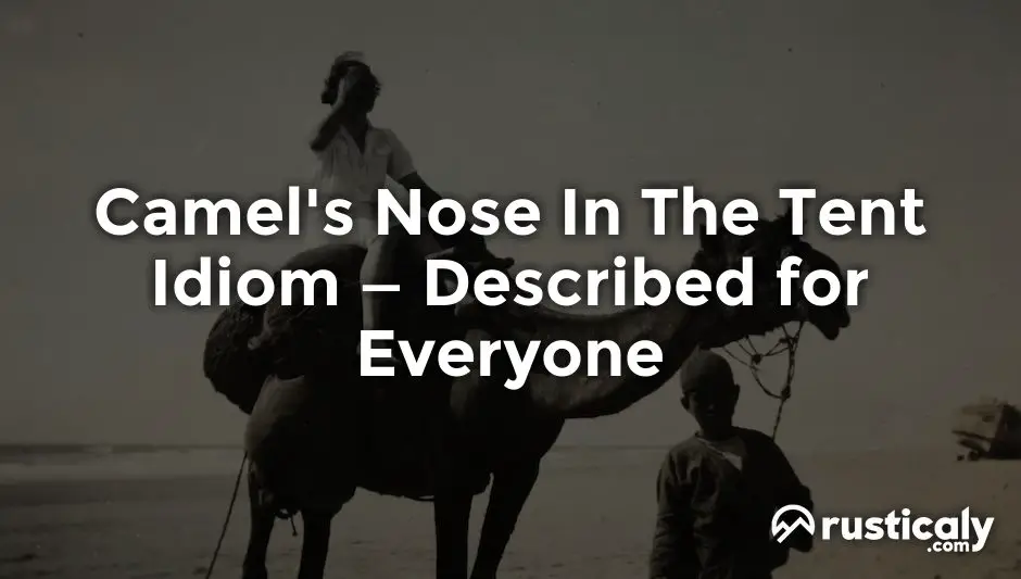 camel's nose in the tent idiom