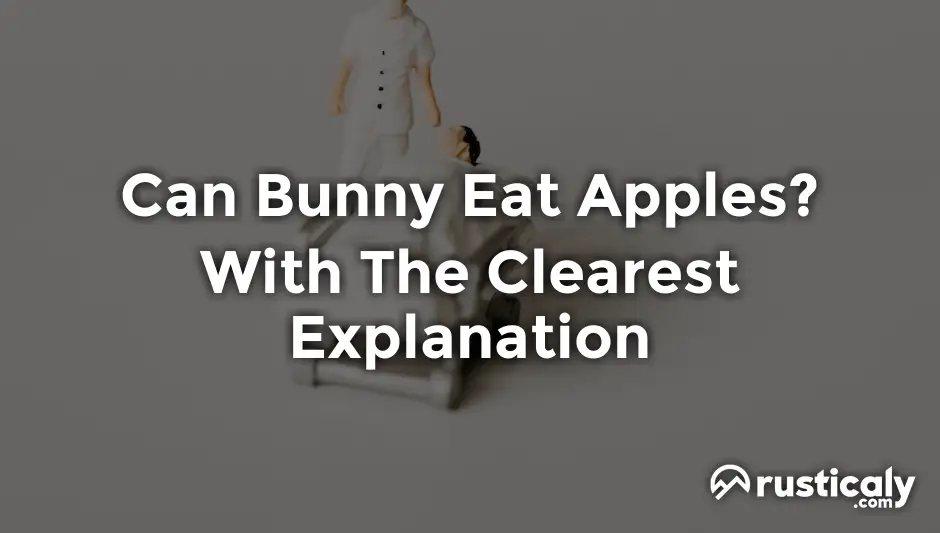 can bunny eat apples