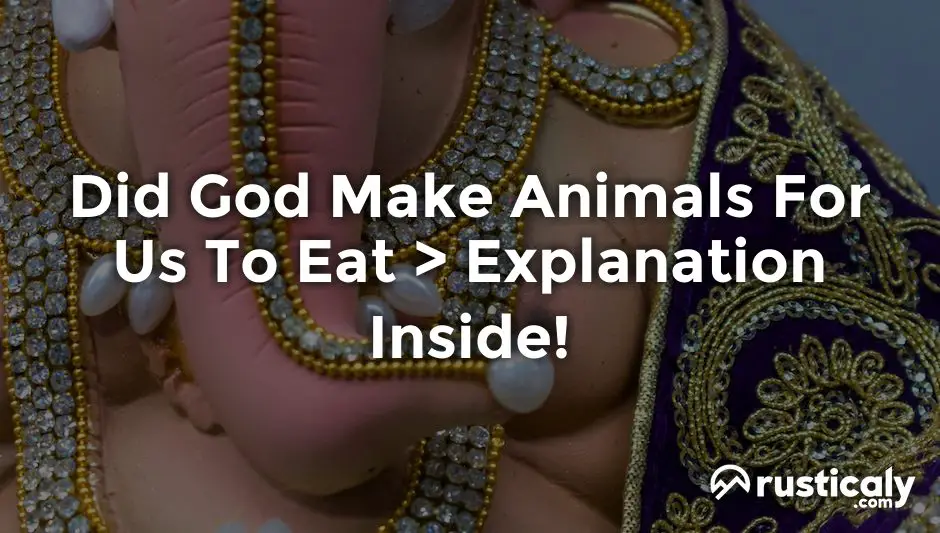 did god make animals for us to eat