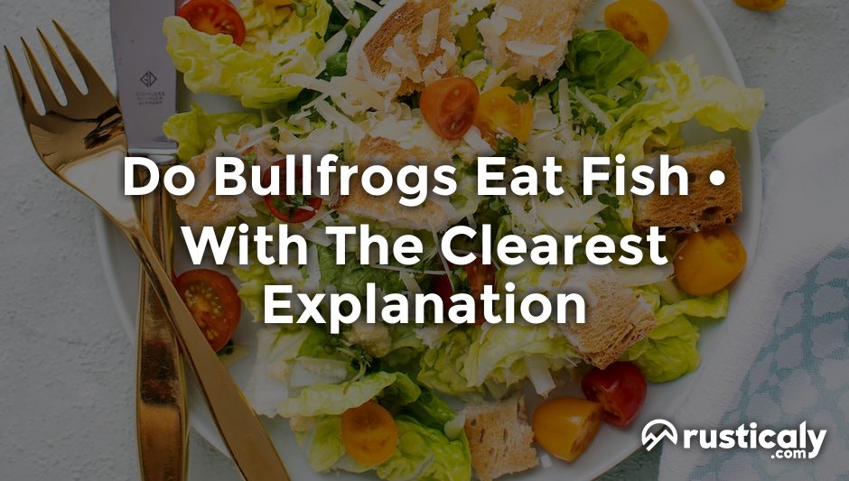 do bullfrogs eat fish