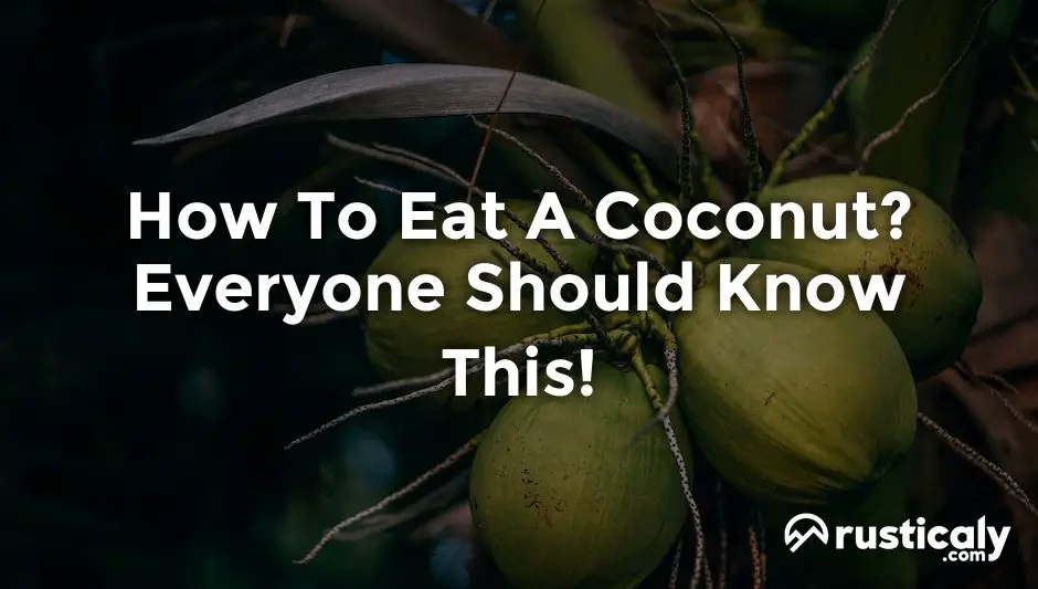 how to eat a coconut