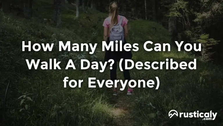 How Many Miles Can You Walk A Day Explained For Beginners how-many-miles-can-you-walk-a-day-explained-for-beginners