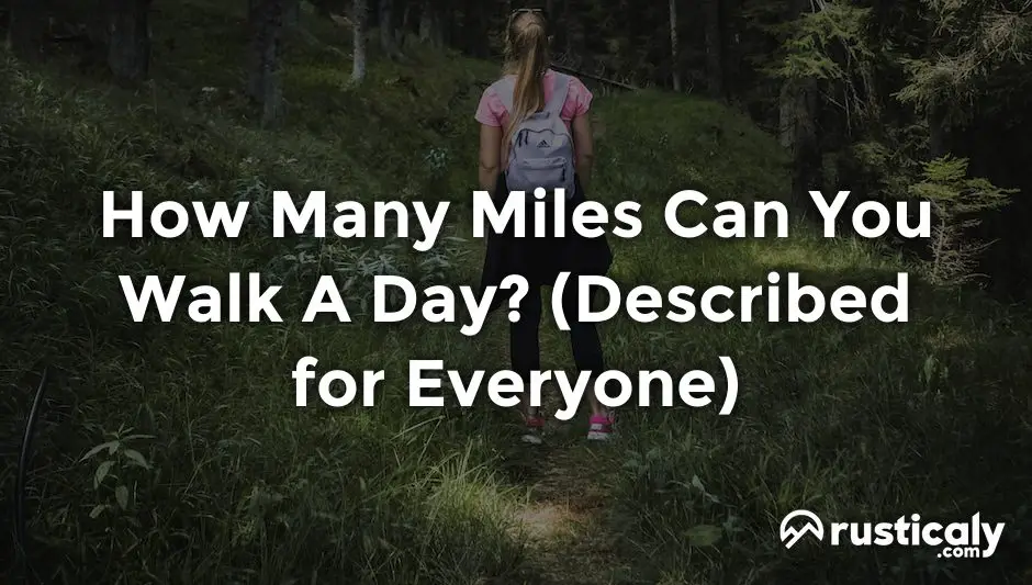 how many miles can you walk a day