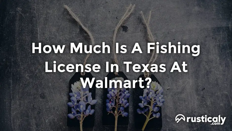 how much is a fishing license in texas at walmart