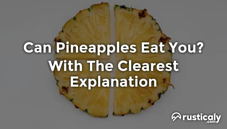 can pineapples eat you