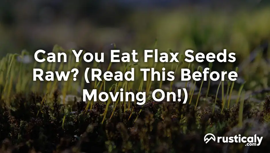 can you eat flax seeds raw