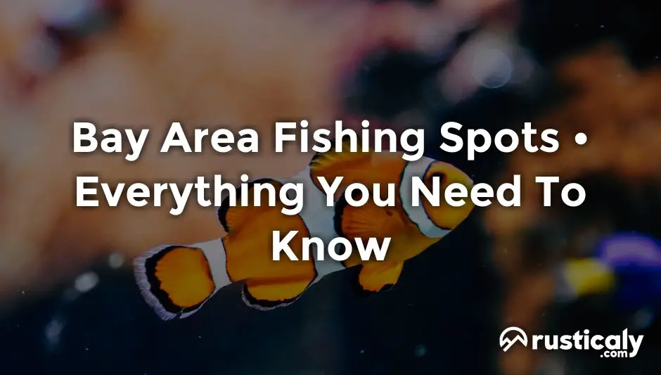 bay area fishing spots