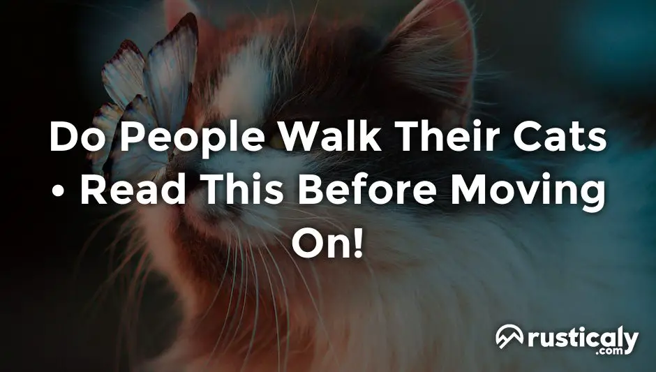 do people walk their cats