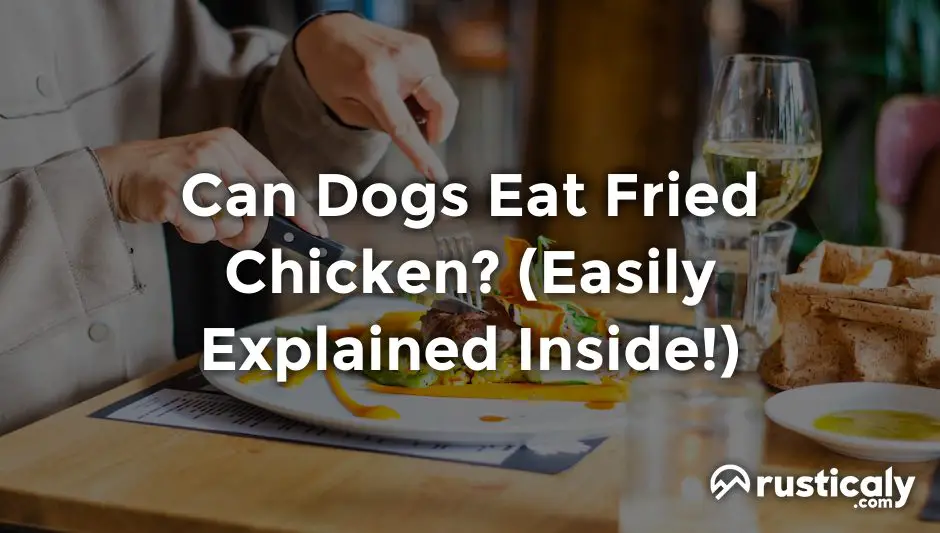 can dogs eat fried chicken