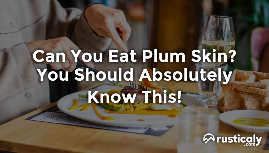 can you eat plum skin