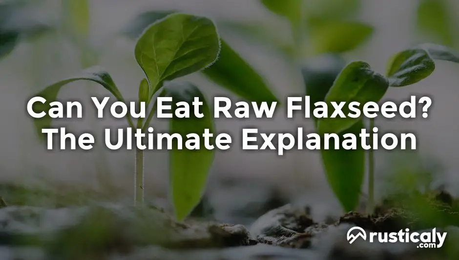 can you eat raw flaxseed