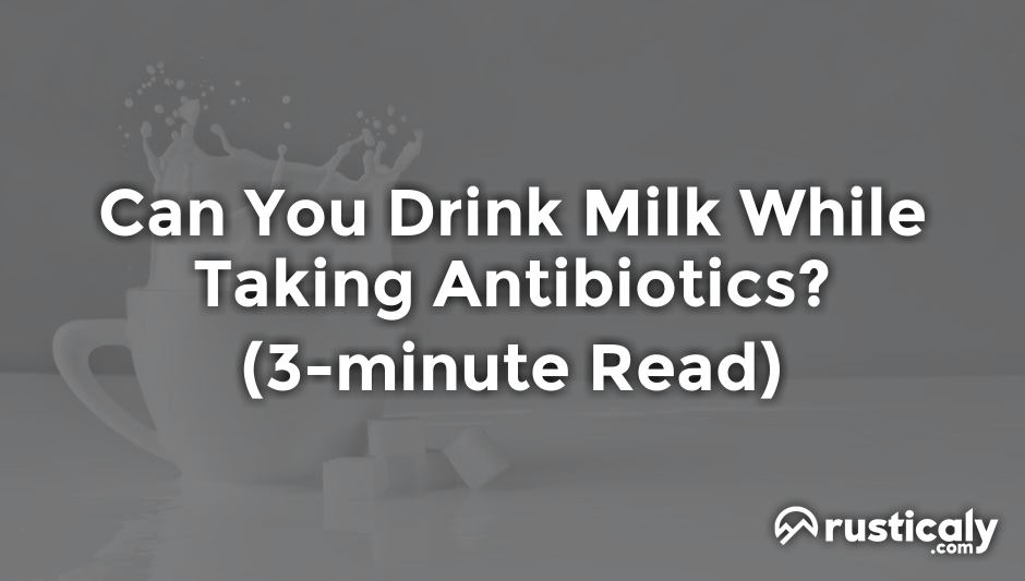 can you drink milk while taking antibiotics