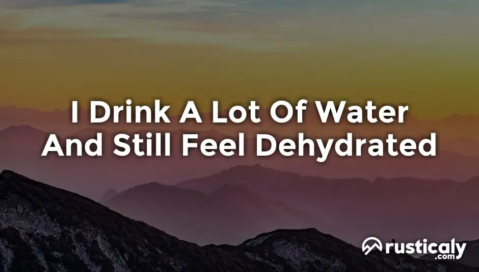 i drink a lot of water and still feel dehydrated