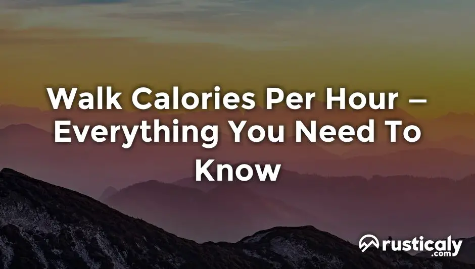 walk calories per hour