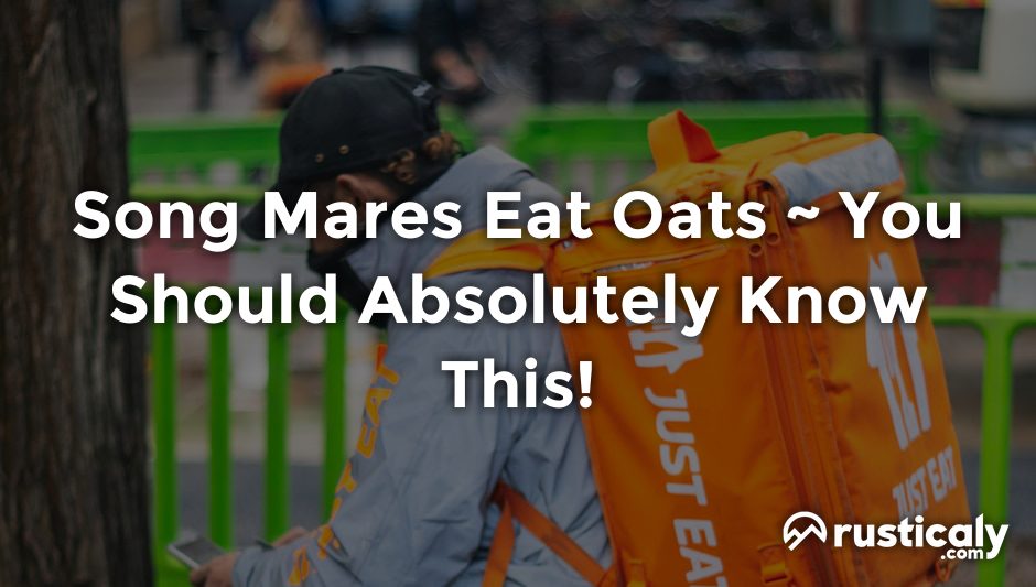 song mares eat oats