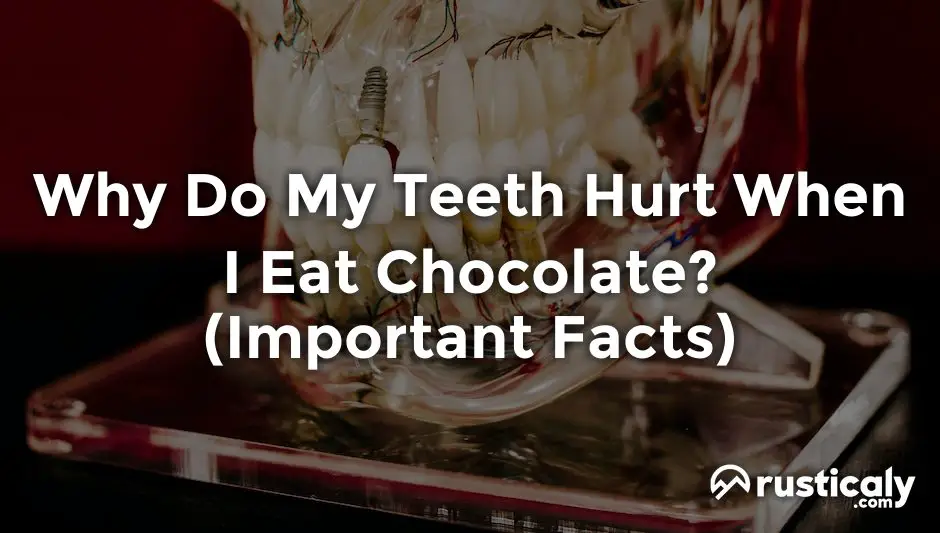 why do my teeth hurt when i eat chocolate