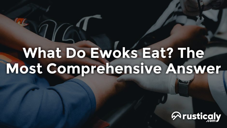 what do ewoks eat