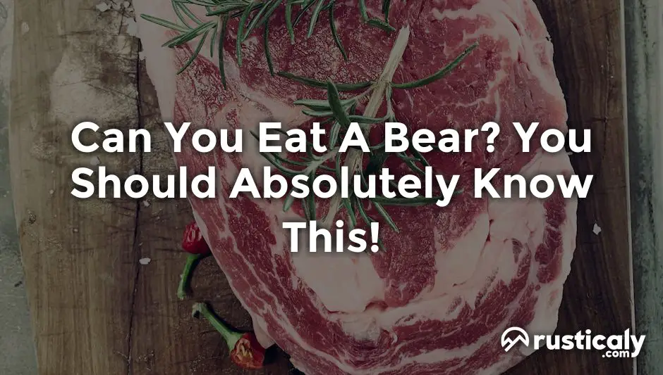 can you eat a bear