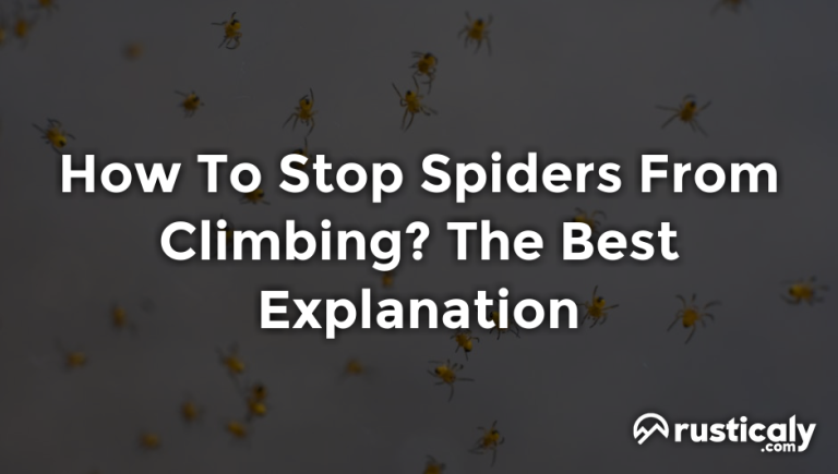 how to stop spiders from climbing
