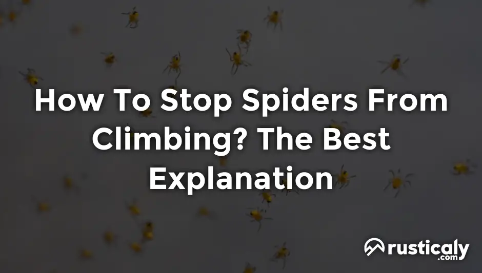 how to stop spiders from climbing