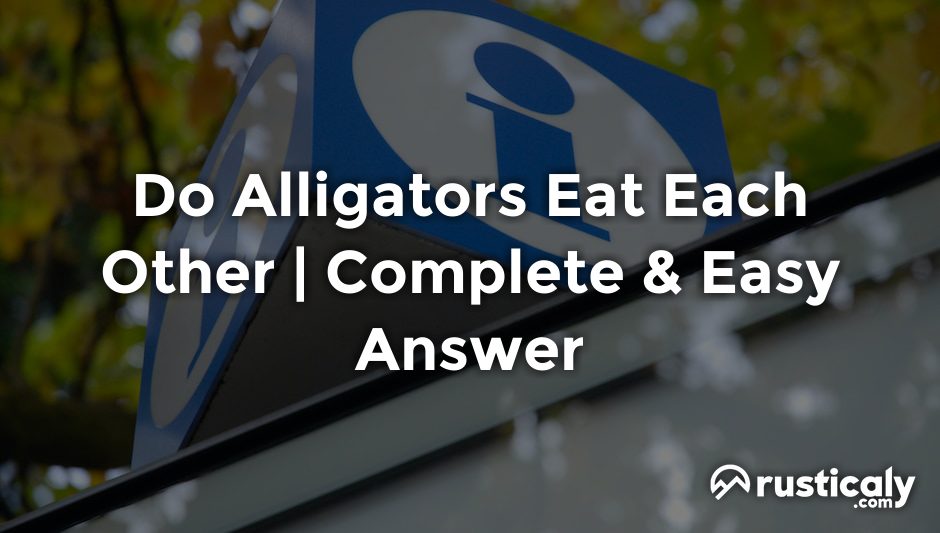 do alligators eat each other