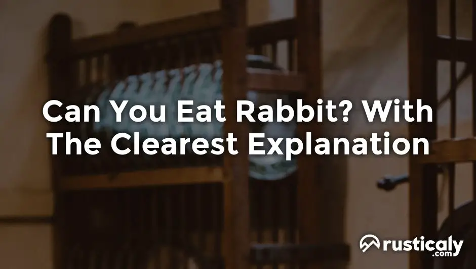 can you eat rabbit
