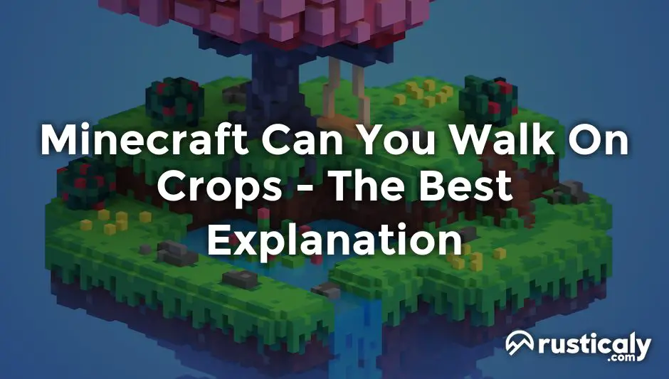 minecraft can you walk on crops