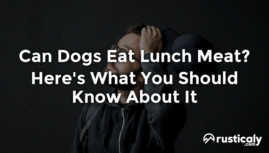 can dogs eat lunch meat