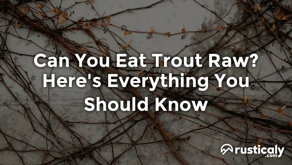 can you eat trout raw
