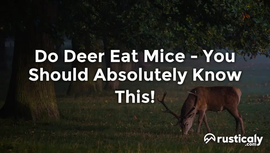 do deer eat mice