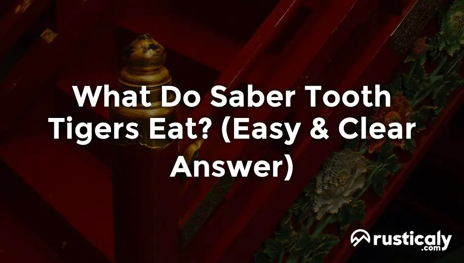 what do saber tooth tigers eat