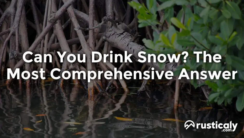can you drink snow