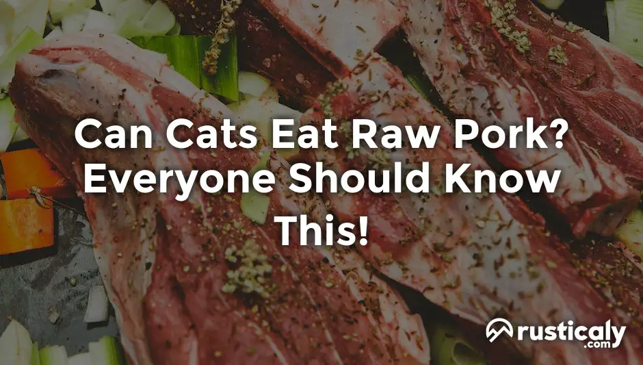 can cats eat raw pork