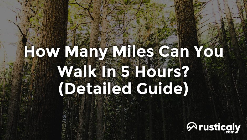 how many miles can you walk in 5 hours