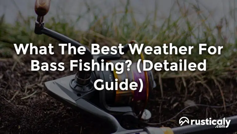 what the best weather for bass fishing
