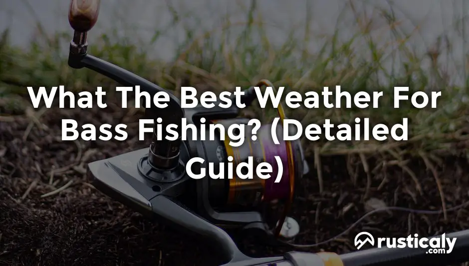 what the best weather for bass fishing