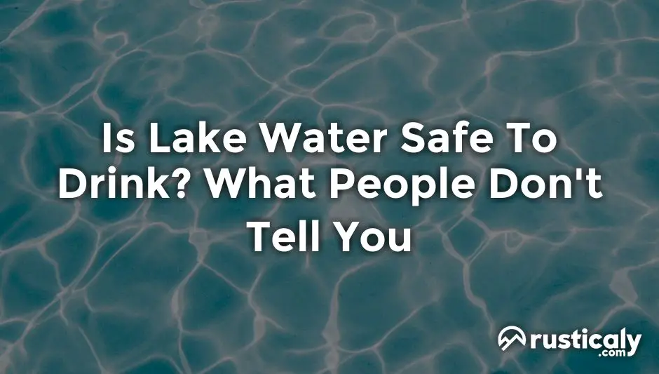 is lake water safe to drink