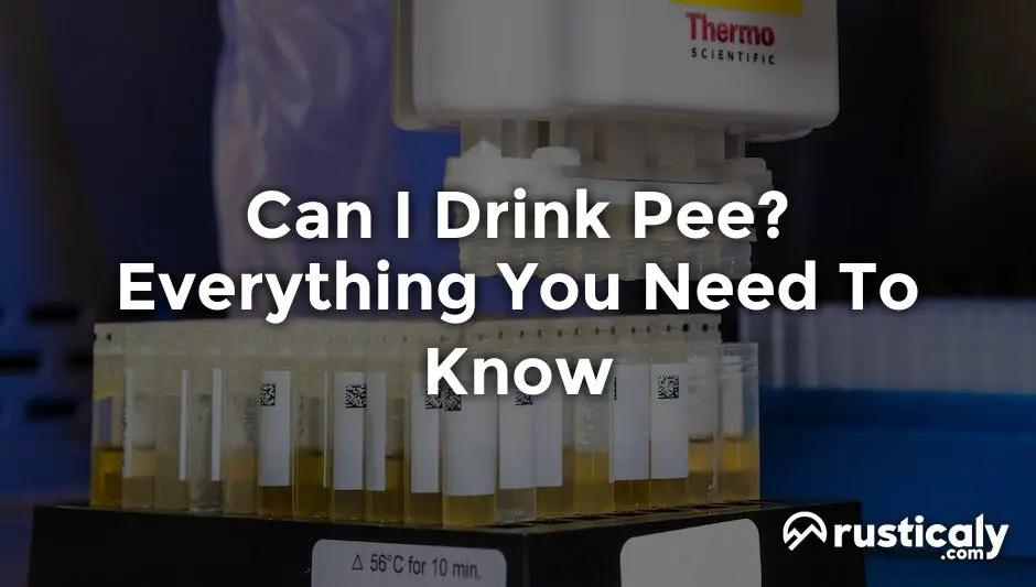 can i drink pee