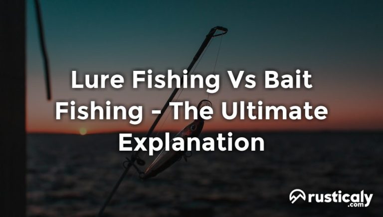 lure fishing vs bait fishing