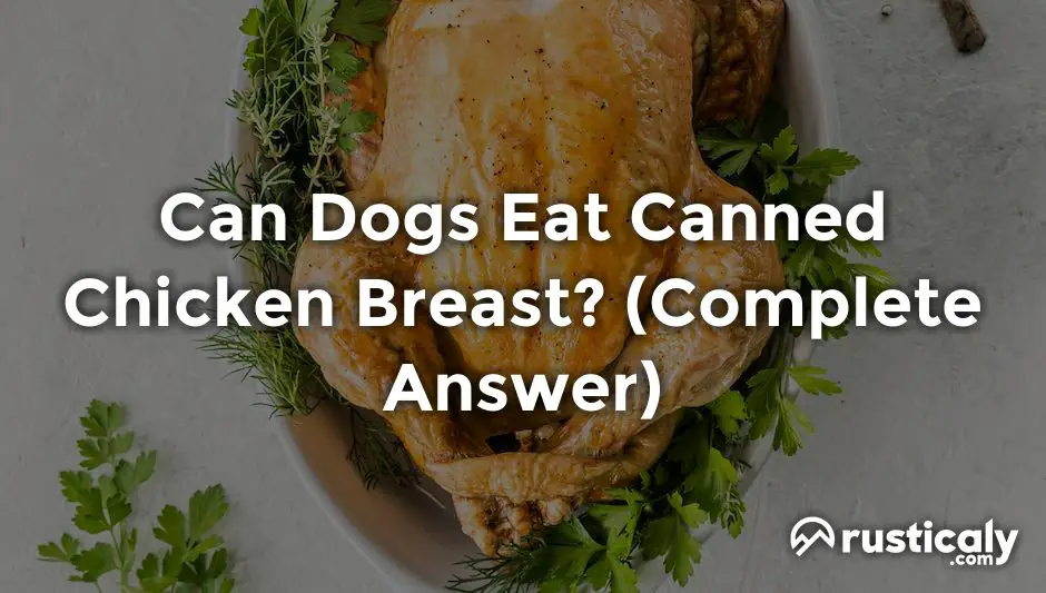 can dogs eat canned chicken breast