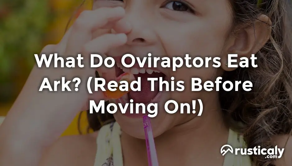 what do oviraptors eat ark