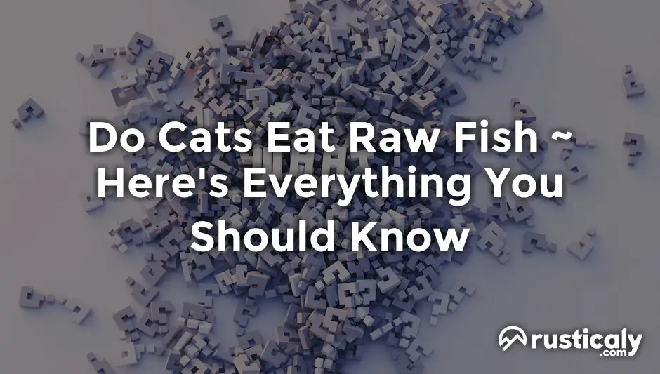 do cats eat raw fish