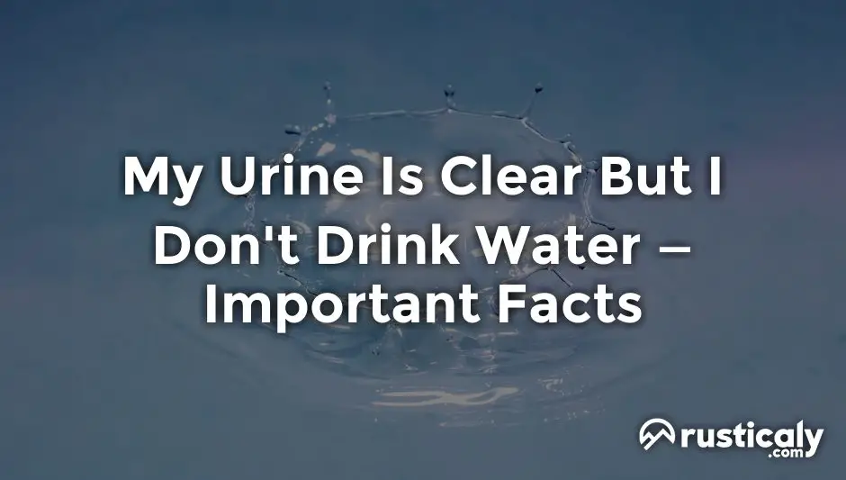 my urine is clear but i don't drink water