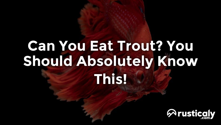 can you eat trout