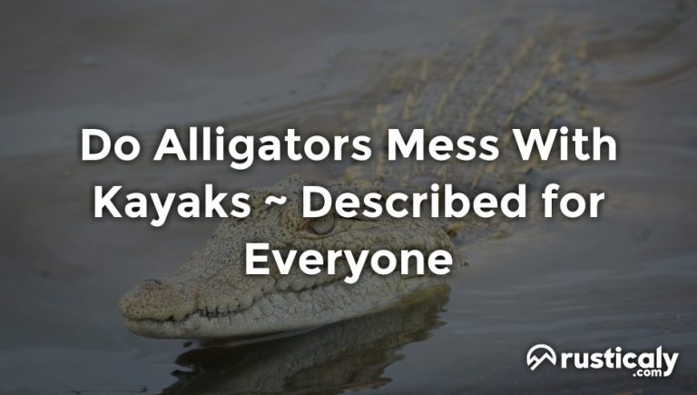 do alligators mess with kayaks