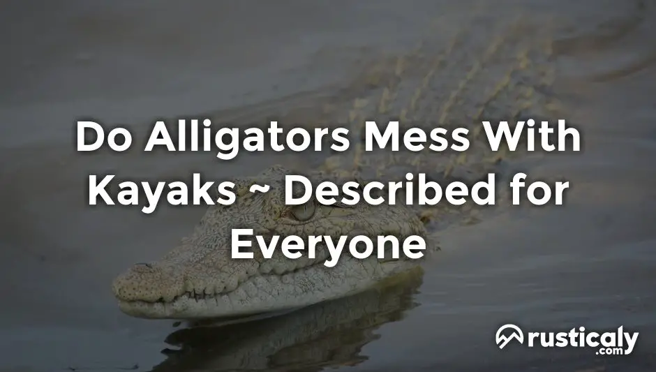 do alligators mess with kayaks