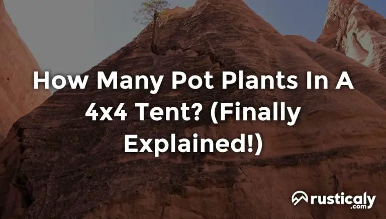 how many pot plants in a 4x4 tent