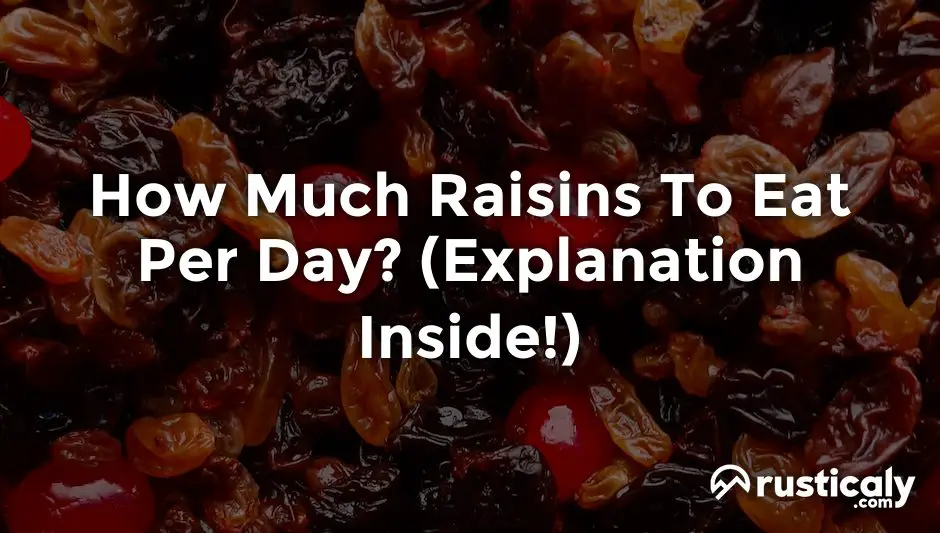 how much raisins to eat per day