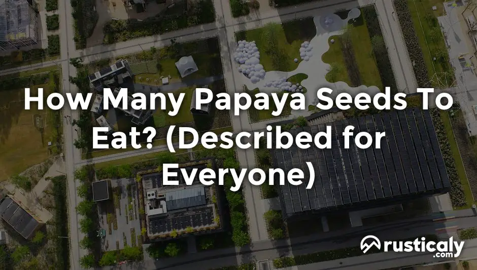 how many papaya seeds to eat